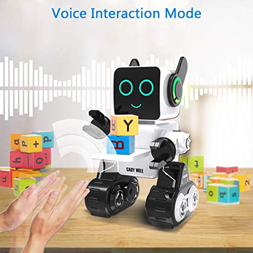 Misa Social Robot - Next-Generation Multi-Function Family Robot