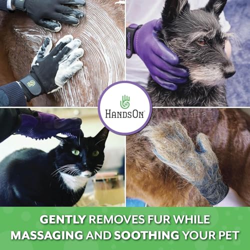 Best image of pet grooming gloves