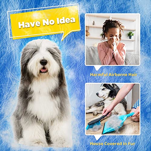 Best image of pet grooming gloves