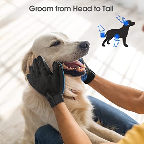 Best image of pet grooming gloves