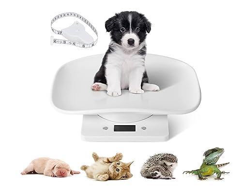https://alternative.me/images/cache/products/pet-scales/pet-scales-10192904.jpg