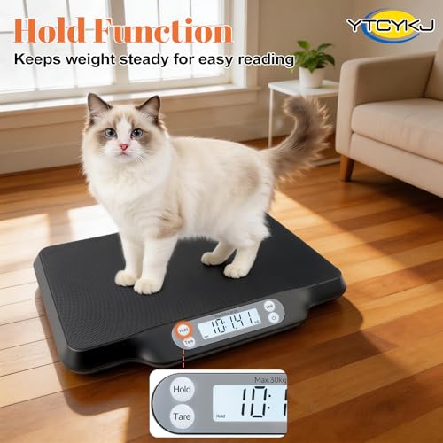 Best image of pet scales
