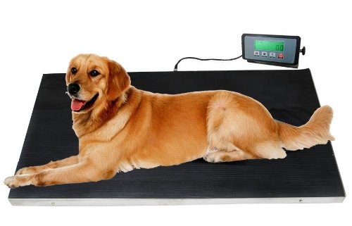 Buumin Digital Pet Scale LCD Display Pet Dog Weighing Scale Multi-Function Weight Scale to Measure Dog and Cat Accurately Up to 10KG
