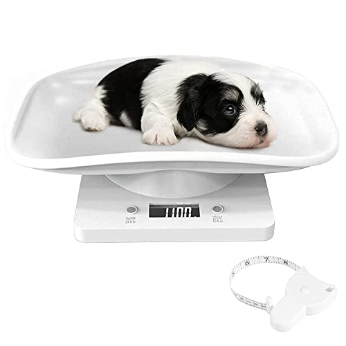 Our Top Picks for the Best Pet Scales - A-Z Animals