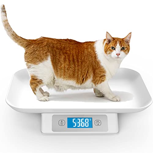 https://alternative.me/images/cache/products/pet-scales/pet-scales-8755409.jpg
