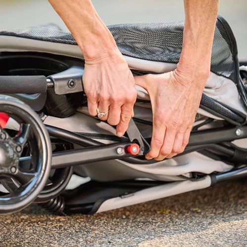 Best image of pet strollers