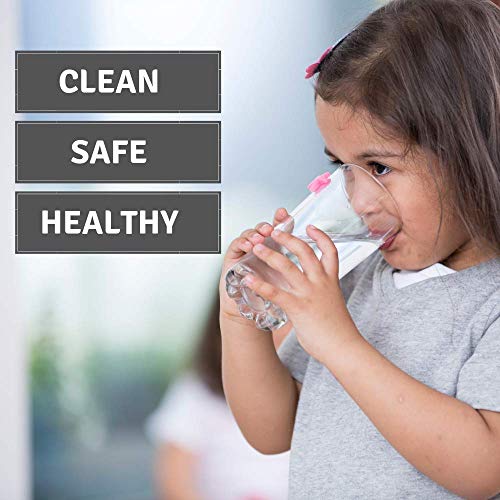 Best image of pitcher water filters