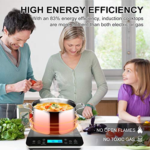 Best image of portable induction cooktops