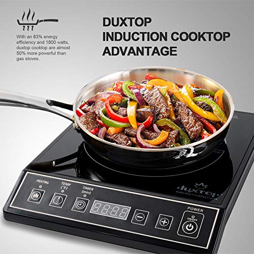 Best image of portable induction cooktops