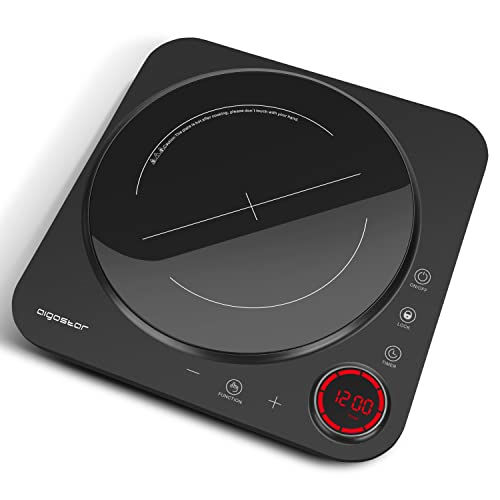 11 Best Portable Induction Cooktops Our Picks, Alternatives & Reviews
