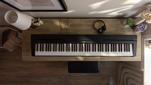 Best image of portable keyboard pianos