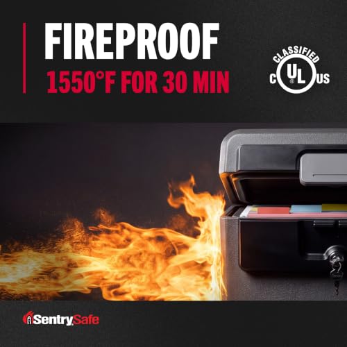 Best image of portable safes