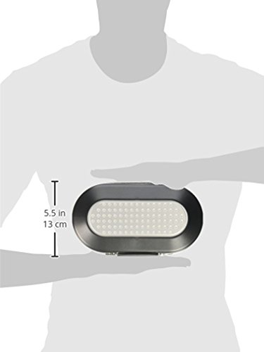 Best image of portable safes