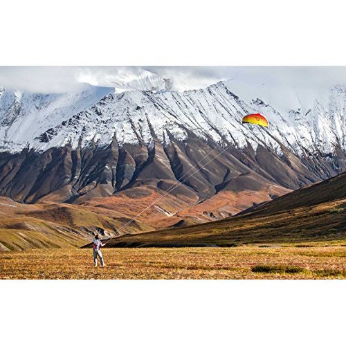 Best image of power kites