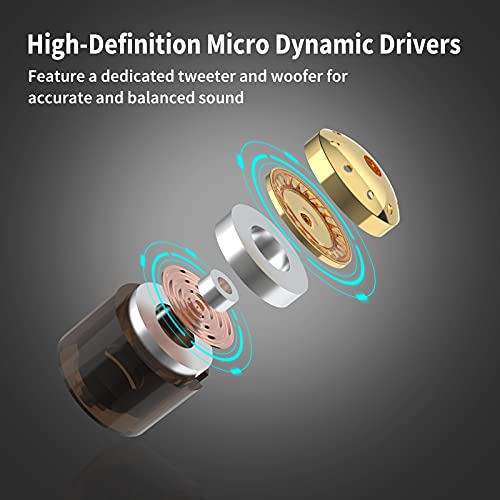 Best image of professional in ear monitors