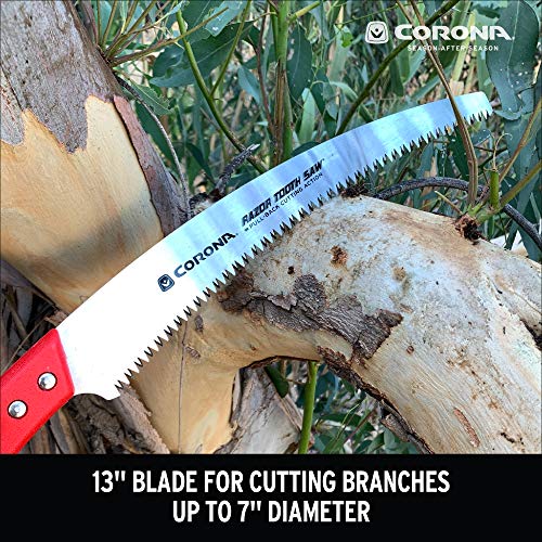 Best image of pruning saws