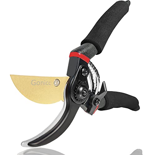 Best image of pruning shears