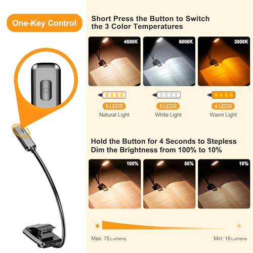 Best image of reading lights