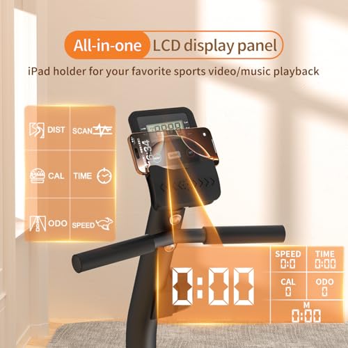 Best image of recumbent bikes