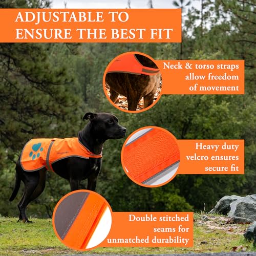 Best image of reflective dog vests