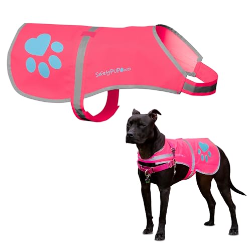 Best image of reflective dog vests