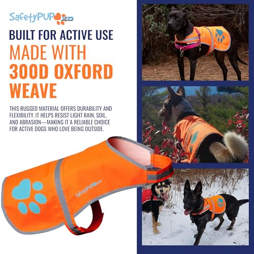 Best image of reflective dog vests