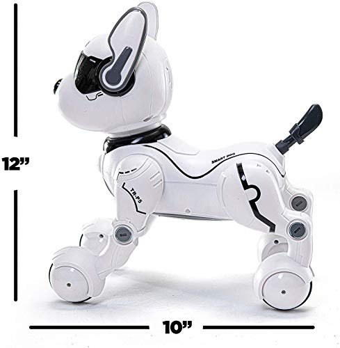 Best image of robot dogs