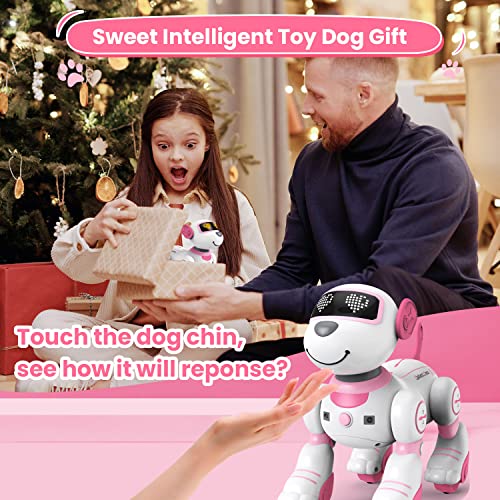 Best image of robot dogs