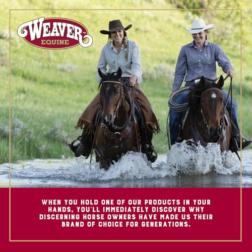 Best image of saddle pads