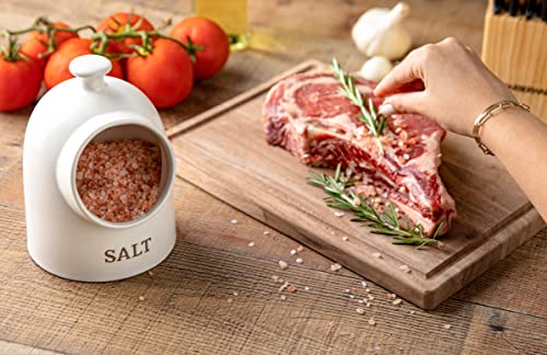 Best image of salt pigs