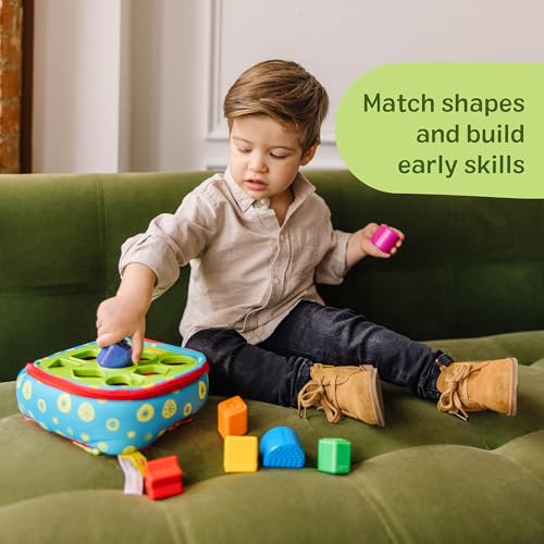 Best image of shape sorters