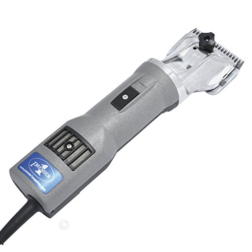 Best image of sheep clippers