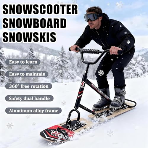 Best image of snow scooters