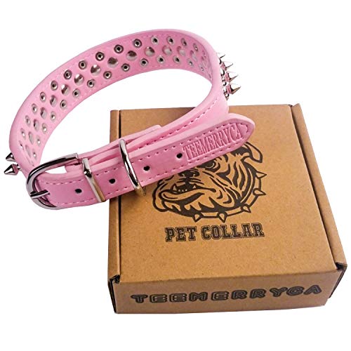 Best image of spiked dog collars