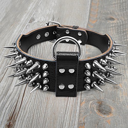 Best image of spiked dog collars
