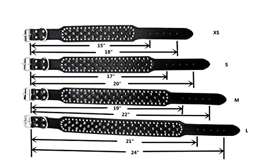 Best image of spiked dog collars