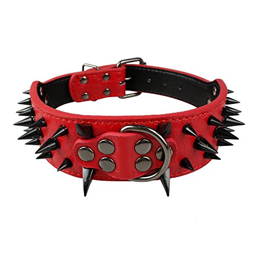 Best image of spiked dog collars
