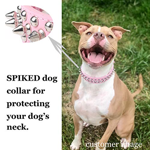 Best image of spiked dog collars
