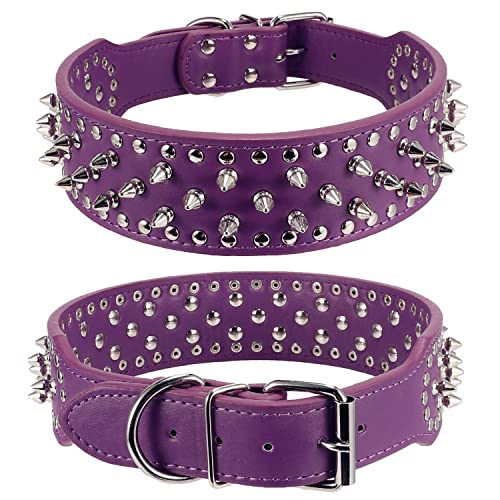 Best image of spiked dog collars