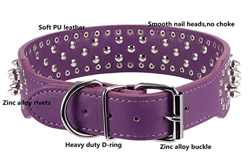 Best image of spiked dog collars