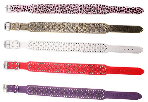 Best image of spiked dog collars