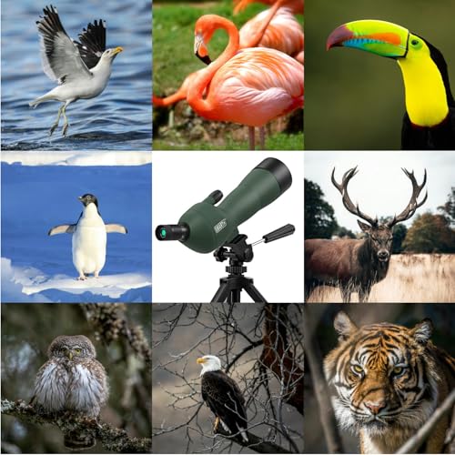 Best image of spotting scopes
