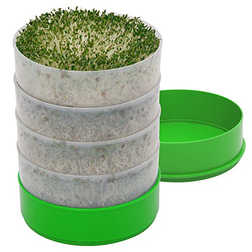 2 Pack 32oz Seed Sprouting Jar Kit Include Sprouting Screen Lids Stands Tray-KISSTAKER Easy Fresh Organic Sprouts at Home Sprout Starter Kit for Broccoli Mung Beans Germination Growing Kit Alfalfa 