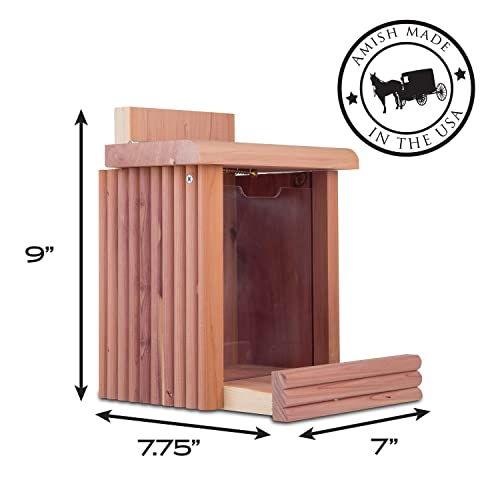 Best image of squirrel feeders