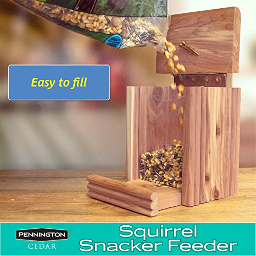 Best image of squirrel feeders