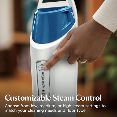Best image of steam mops