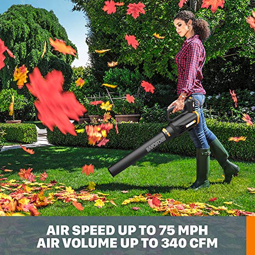 Best image of string trimmers‎