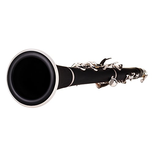 Best image of student clarinets