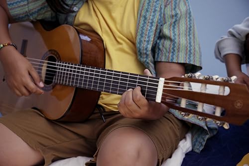 Best image of student classical guitars