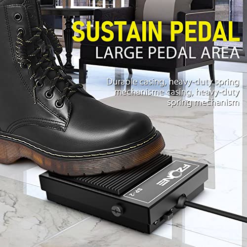 Best image of sustain pedals